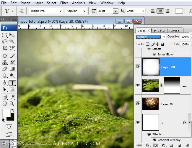 Photoshopϳɸոմĺ
