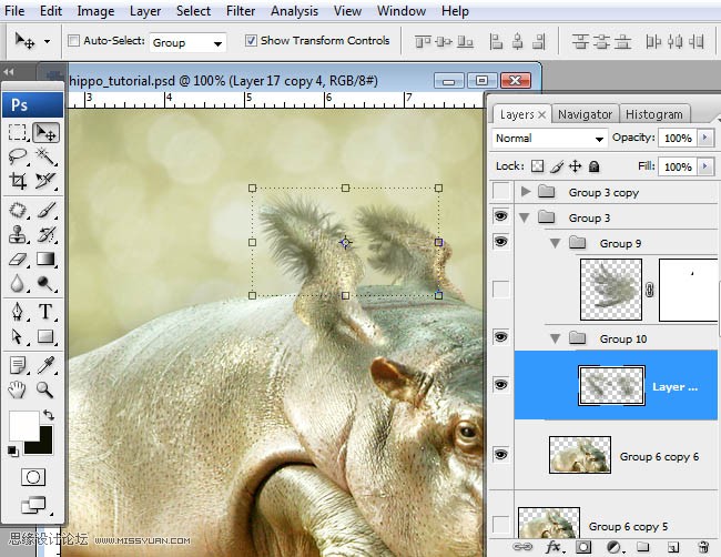 Photoshopϳɸոմĺ
