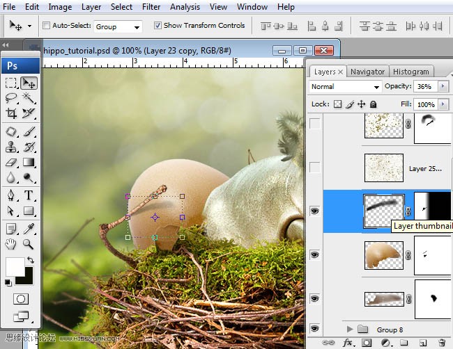 Photoshopϳɸոմĺ