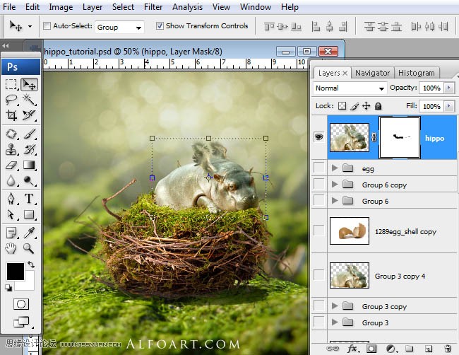 Photoshopϳɸոմĺ