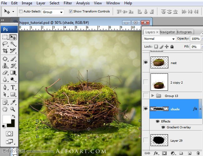 Photoshopϳɸոմĺ