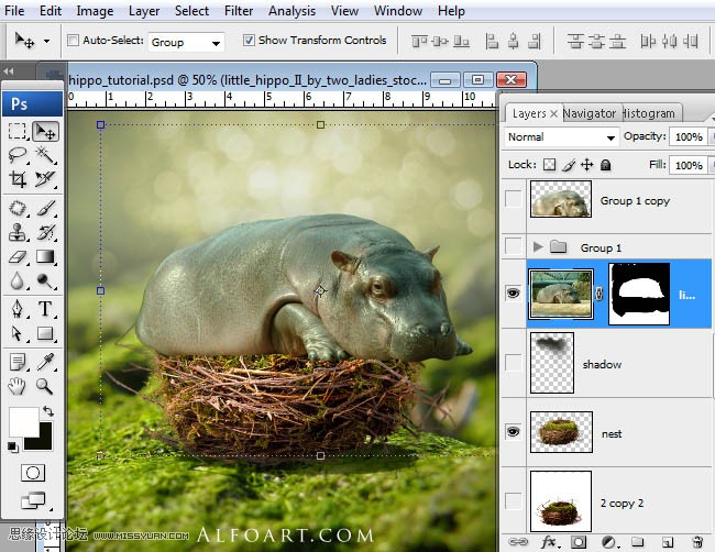 Photoshopϳɸոմĺ