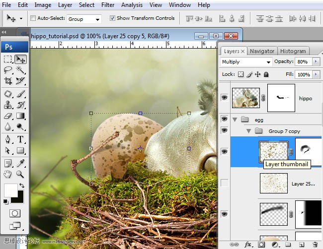 Photoshop合成刚刚从鸟窝里孵出的河马,PS教程,图老师教程网