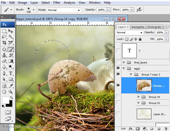 Photoshopϳɸոմĺ
