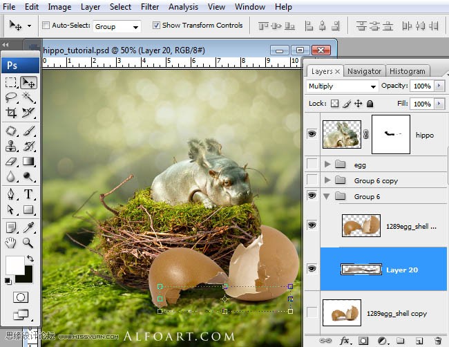 Photoshopϳɸոմĺ