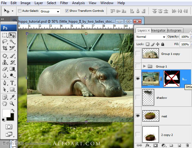Photoshopϳɸոմĺ