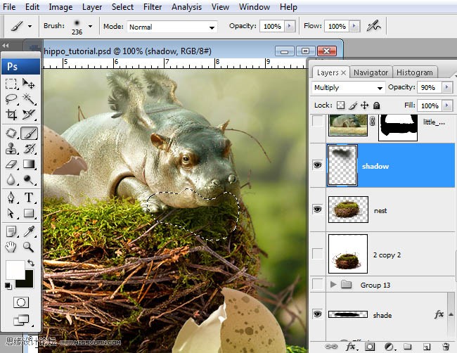 Photoshopϳɸոմĺ