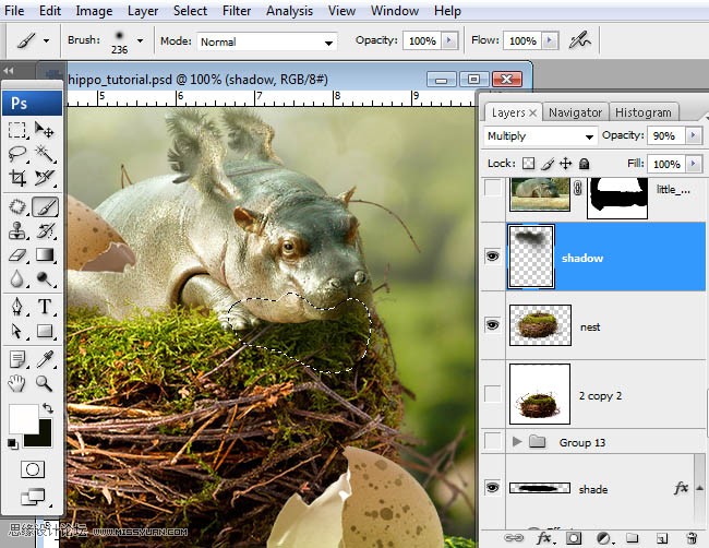 Photoshop合成刚刚从鸟窝里孵出的河马,PS教程,图老师教程网