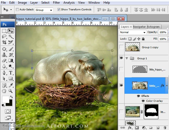 Photoshopϳɸոմĺ