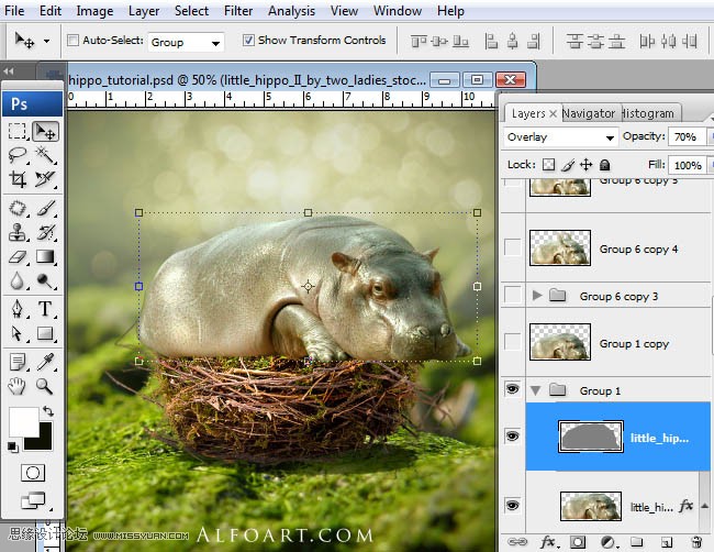 Photoshopϳɸոմĺ