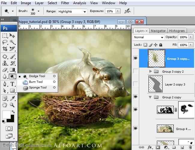 Photoshopϳɸոմĺ