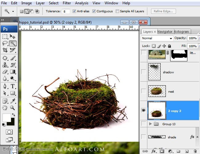 Photoshopϳɸոմĺ