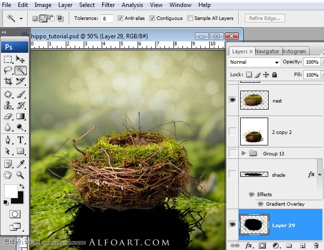 Photoshopϳɸոմĺ