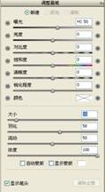 Camera Raw 制作局部着色更出彩,PS教程,图老师教程网