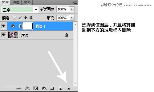 Photoshop利用曲线修正灰蒙蒙花朵图片,PS教程,图老师教程网