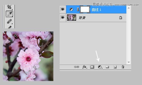 Photoshop利用曲线修正灰蒙蒙花朵图片,PS教程,图老师教程网