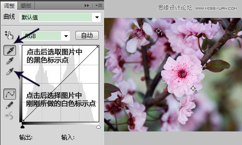 Photoshop利用曲线修正灰蒙蒙花朵图片,PS教程,图老师教程网