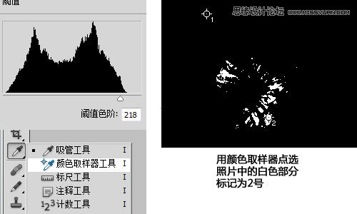 Photoshop利用曲线修正灰蒙蒙花朵图片,PS教程,图老师教程网