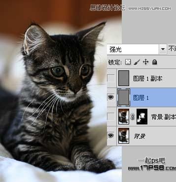 Photoshop巧用滤镜提升图片质量效果,PS教程,图老师教程网