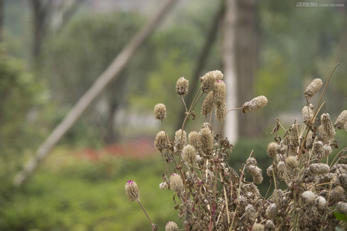 photoshop通过实例解析色阶的使用原理 - 转载