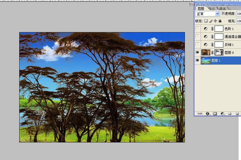 Photoshop快速抠出复杂的树木并换背景,PS教程,图老师教程网