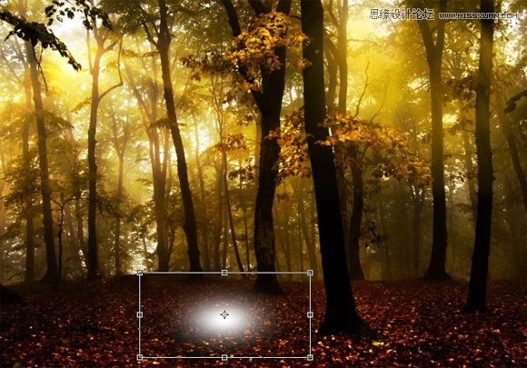 Photoshop打造一个梦幻光斑的树林场景效果,PS教程,图老师教程网