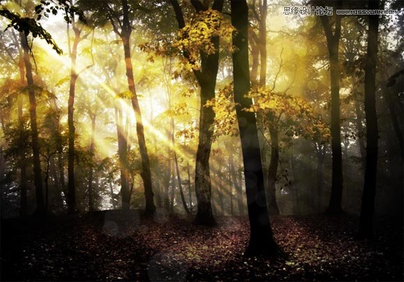 Photoshop打造一个梦幻光斑的树林场景效果,PS教程,图老师教程网