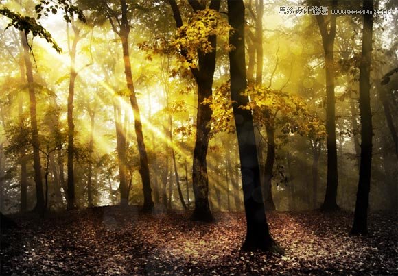 Photoshop给树林图片加上清晨的阳光光线,PS教程,图老师教程网