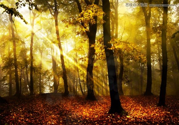 Photoshop给树林图片加上清晨的阳光光线,PS教程,图老师教程网
