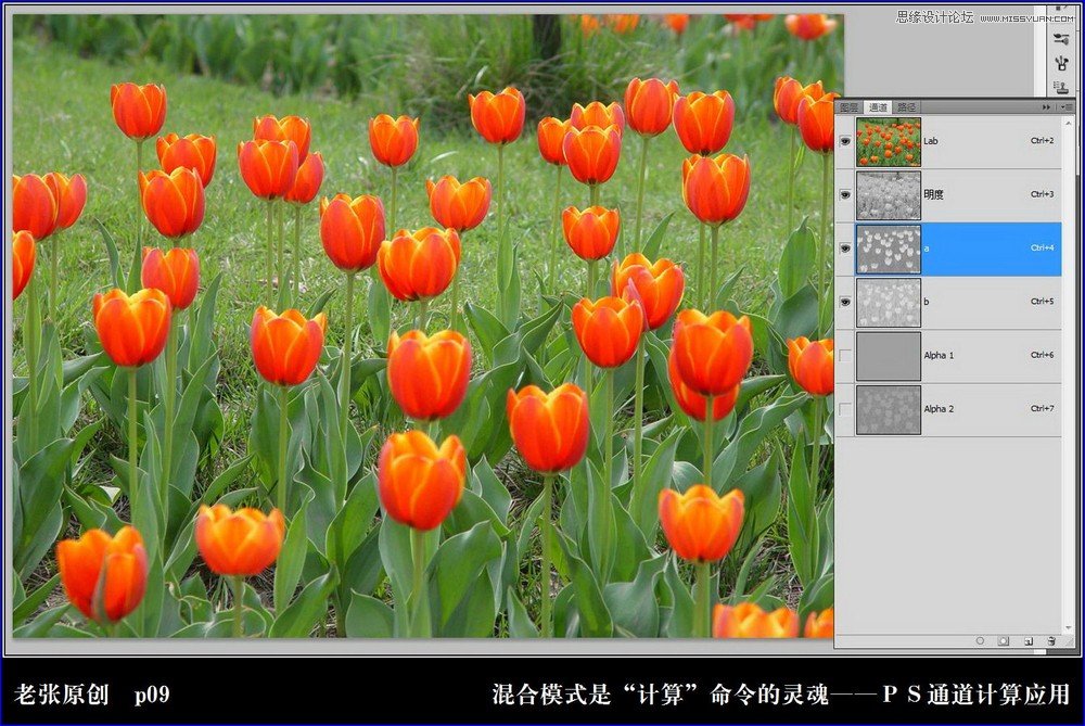 Photoshop详细解析计算命令中混合模式的作用,PS教程,图老师教程网