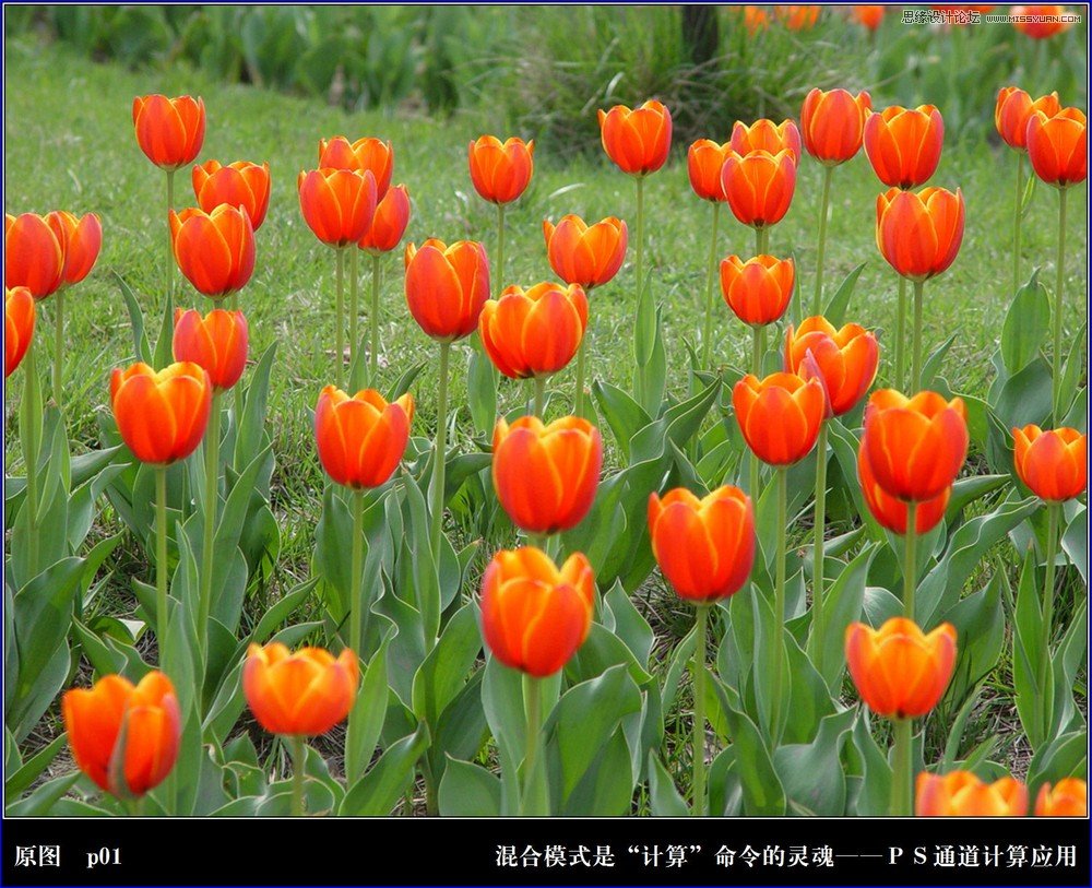 Photoshopϸлģʽ
