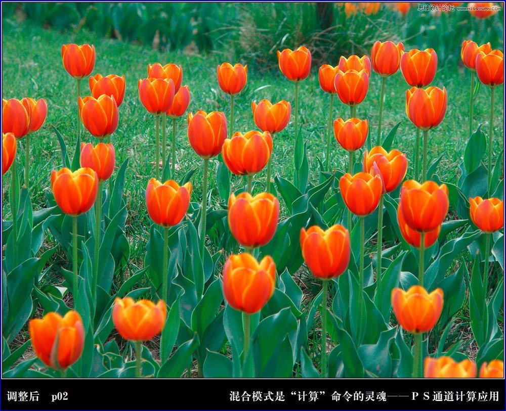 Photoshopϸлģʽ