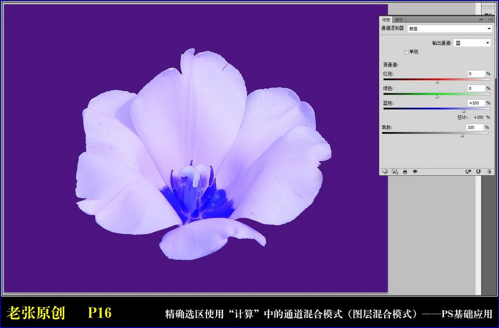 Photoshop通过计算命令改变花的颜色,PS教程,图老师教程网