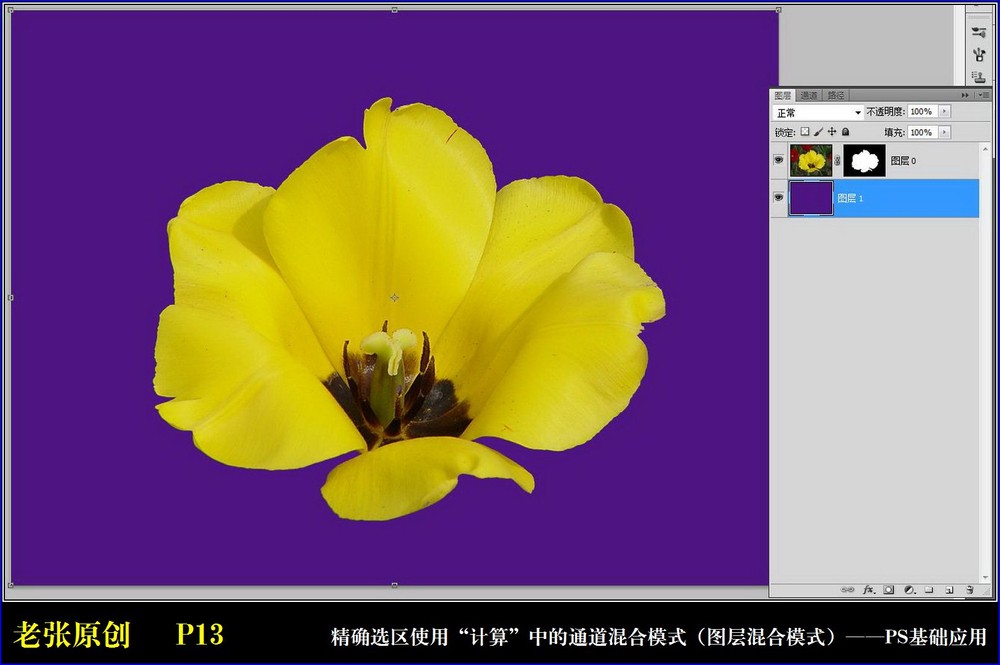 Photoshop通过计算命令改变花的颜色,PS教程,图老师教程网