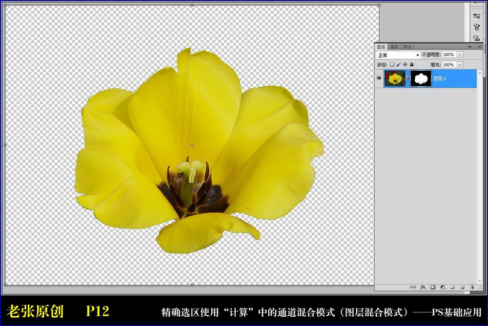 Photoshop通过计算命令改变花的颜色,PS教程,图老师教程网