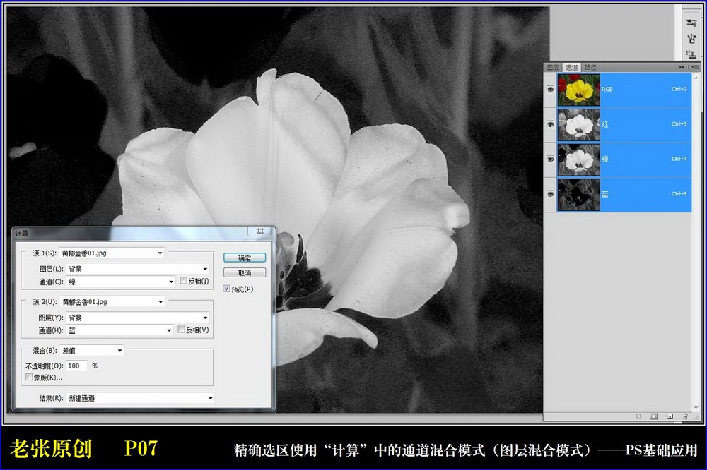 Photoshop通过计算命令改变花的颜色,PS教程,图老师教程网
