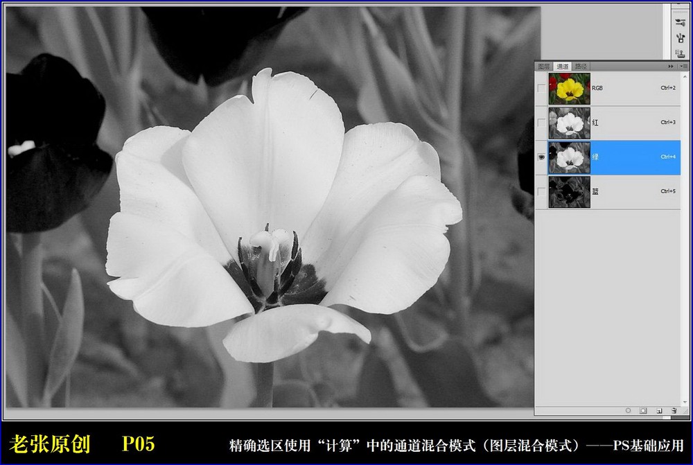 Photoshop通过计算命令改变花的颜色,PS教程,图老师教程网