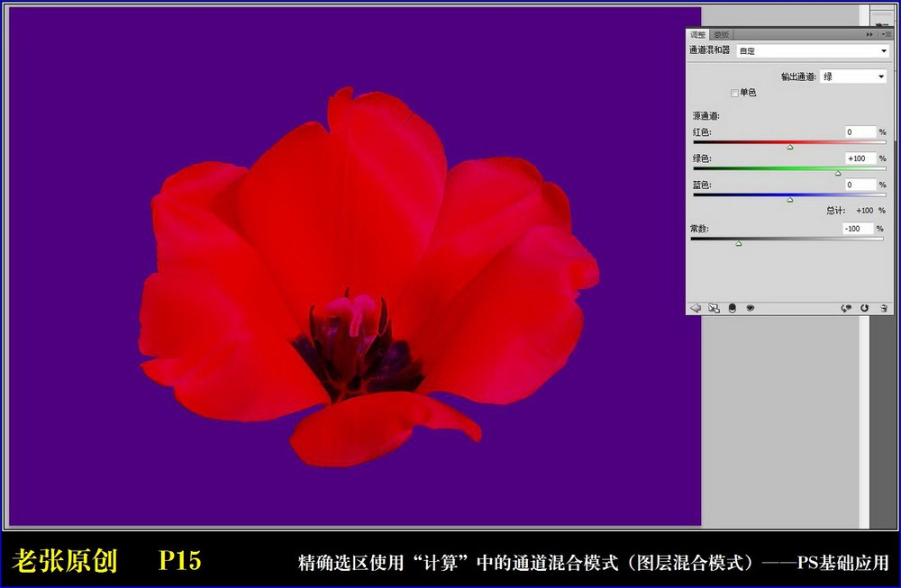 Photoshop通过计算命令改变花的颜色,PS教程,图老师教程网