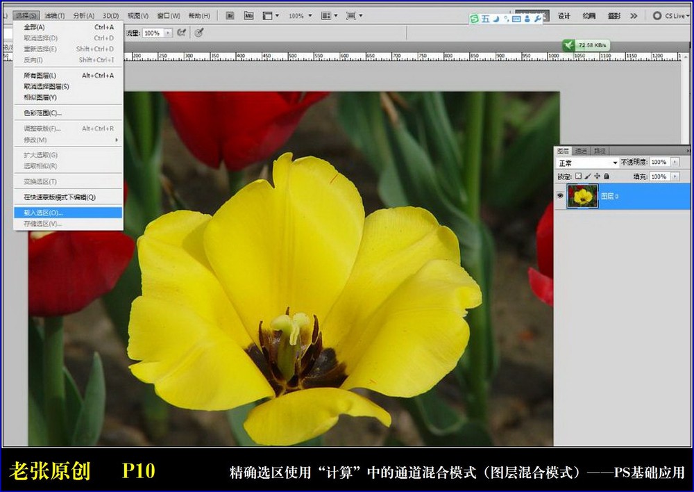 Photoshop通过计算命令改变花的颜色,PS教程,图老师教程网