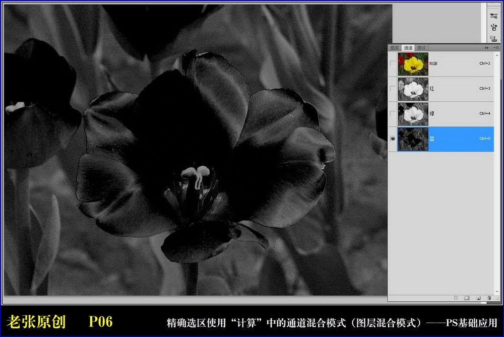 Photoshop通过计算命令改变花的颜色,PS教程,图老师教程网