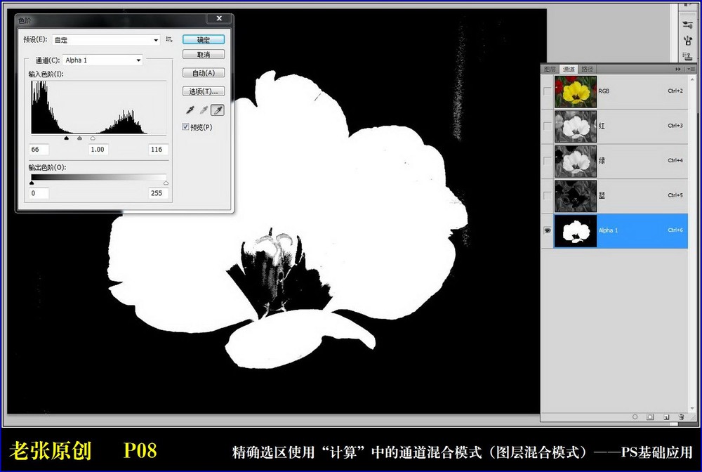 Photoshop通过计算命令改变花的颜色,PS教程,图老师教程网