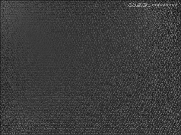 Photoshop使用滤镜制作逼真的皮革纹理,PS教程,图老师教程网