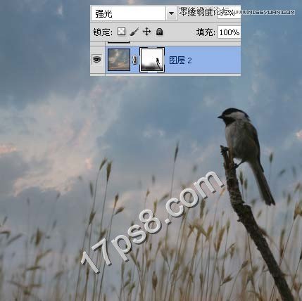 Photoshop合成草丛中树枝上的翠鸟,PS教程,图老师教程网