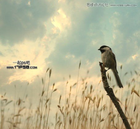 Photoshopϳɲݴ֦ϵĴ
