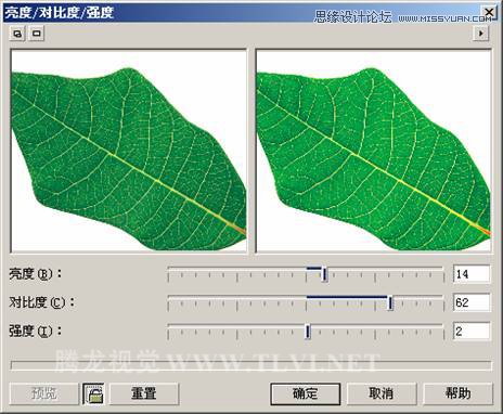 CorelDRAWƻ̳