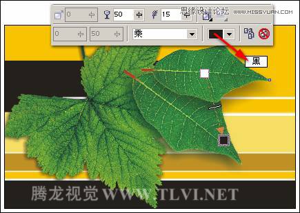 CorelDRAWƻ̳