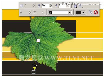 CorelDRAWƻ̳