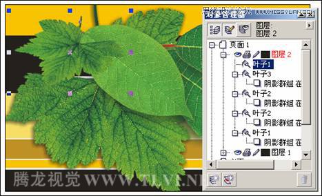 CorelDRAWƻ̳