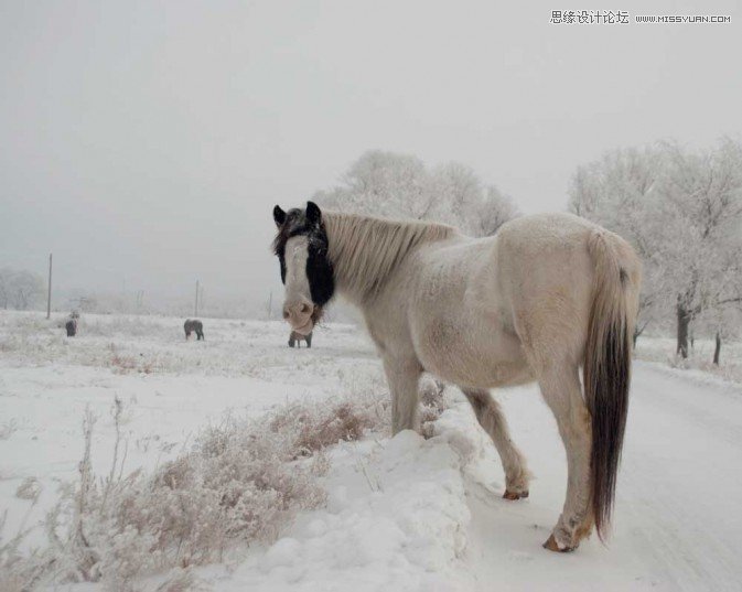 Photoshop调出冬季里很有意境的雪景效果,PS教程,图老师教程网