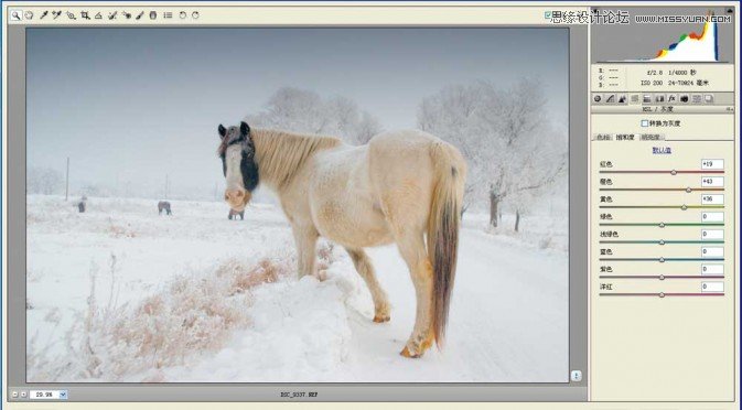 Photoshop调出冬季里很有意境的雪景效果,PS教程,图老师教程网